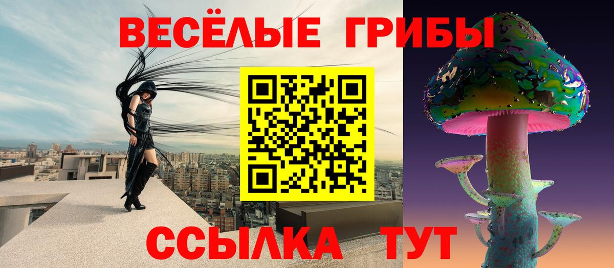 Псилоцибиновые грибы мицелий  Вход с VPN  Галлюциногенные грибы прущие грибы  где найти   Дмитров 