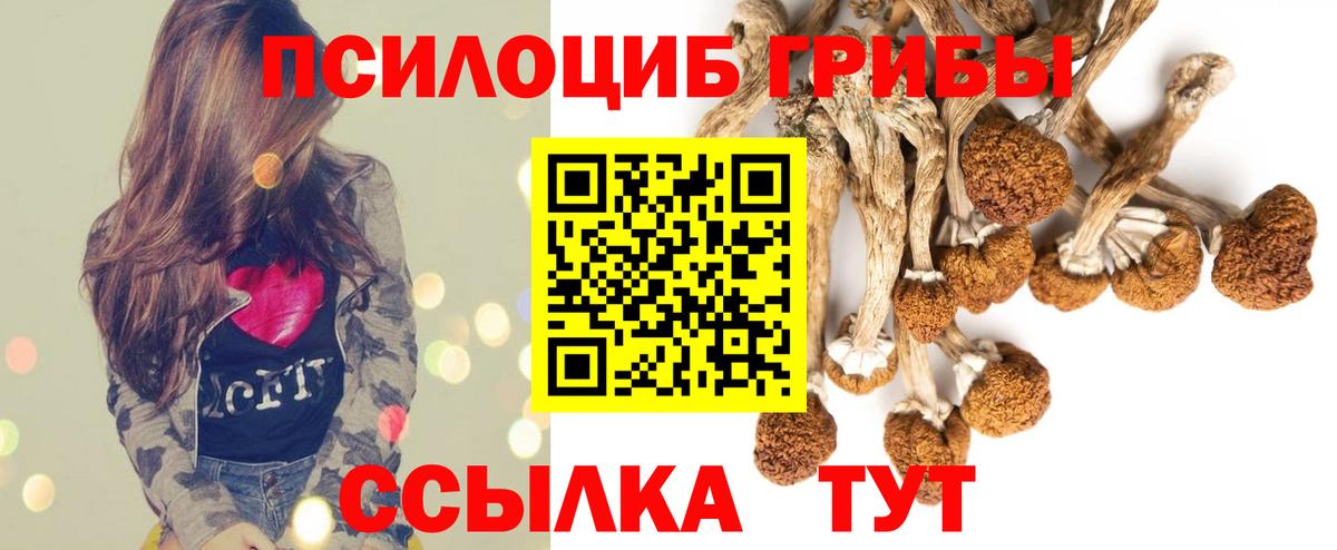 Галлюциногенные грибы Magic Shrooms Дмитров